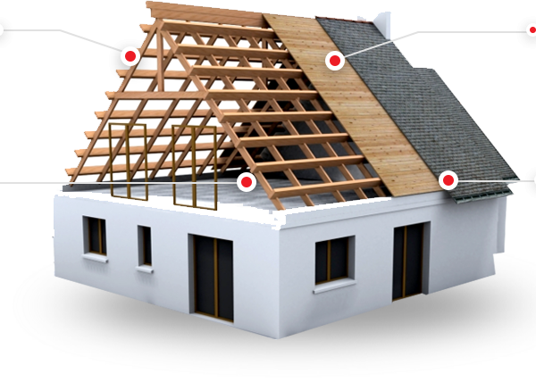 BT Sons Roofing Dublin
